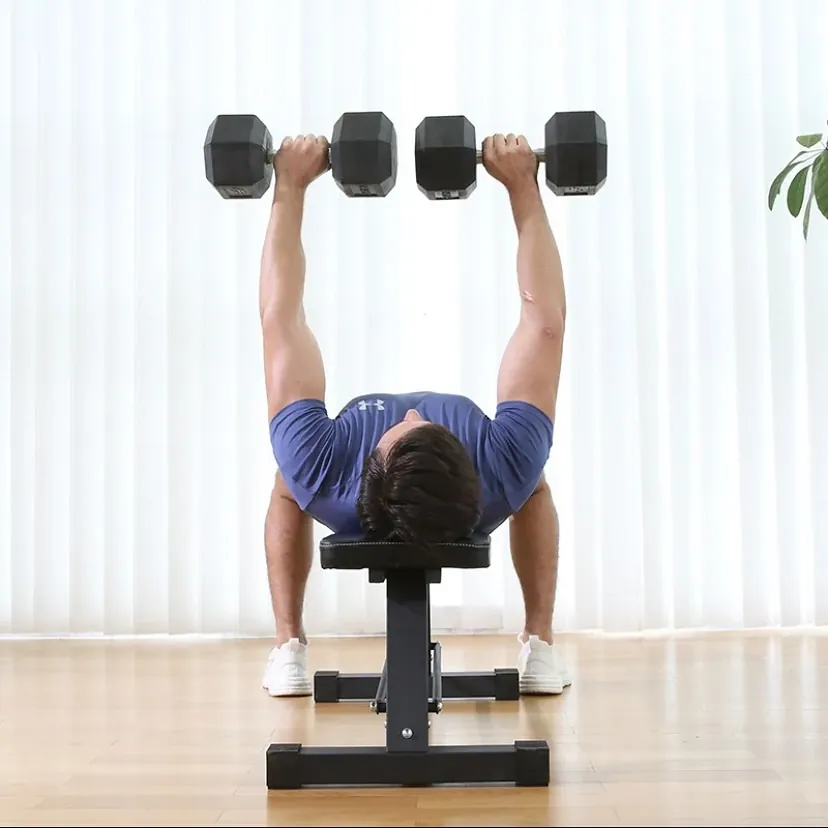 Exercise Bench