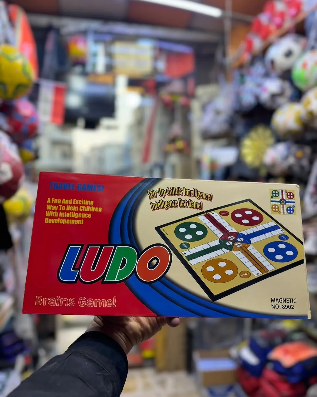 Ludo Board Game