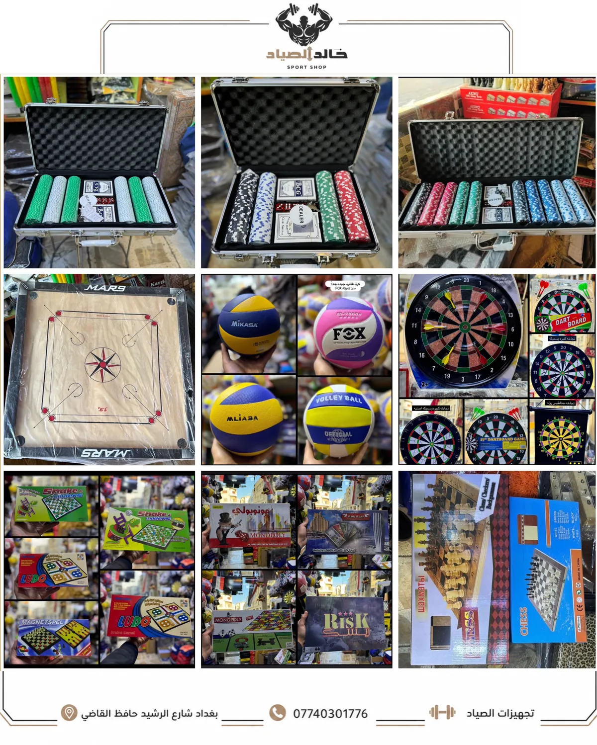 Professional Darts Set