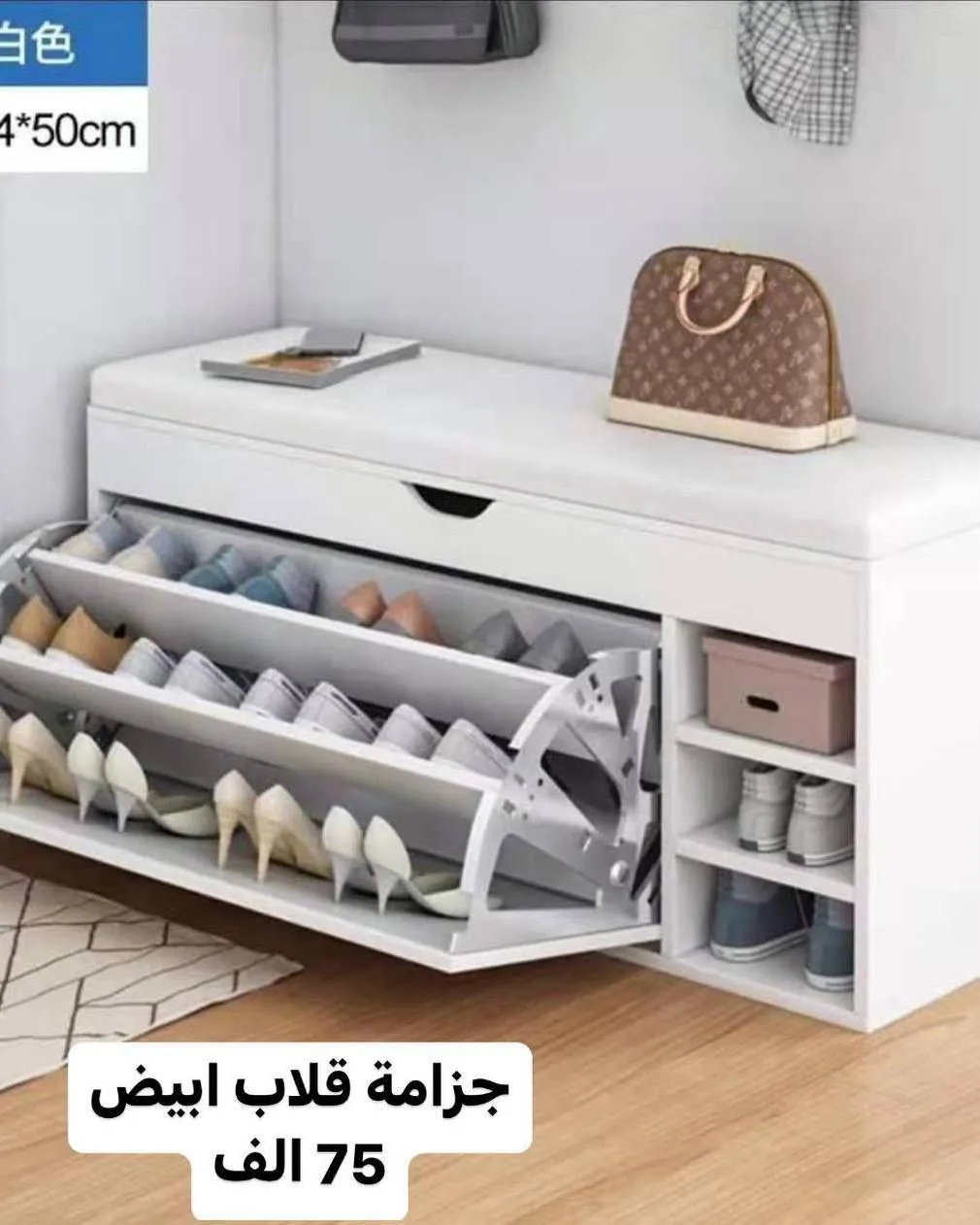 Practical and elegant shoe racks