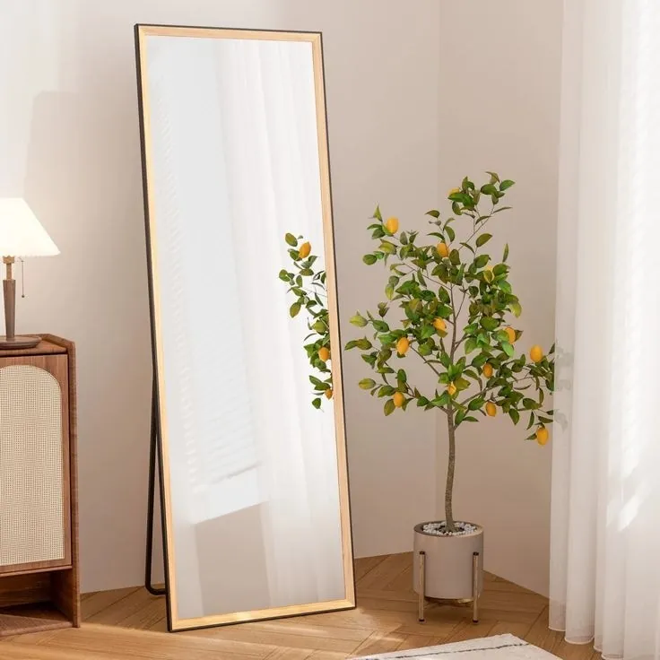 Elegant and Modern Full-Length Decorative Mirrors
