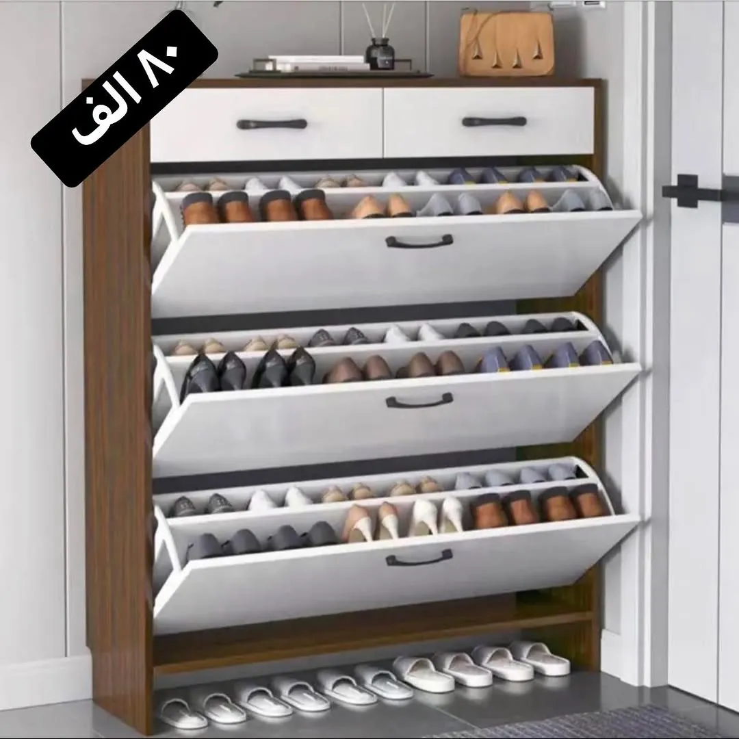 Mist Gray and Gold Elegant Gray Shoe Cabinet B6-25