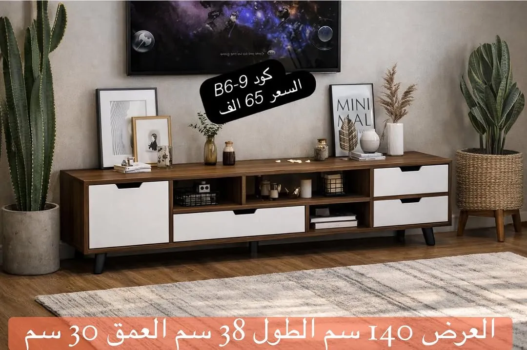 Modern TV Stand