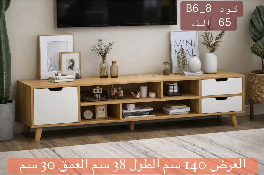 Modern TV Stand
