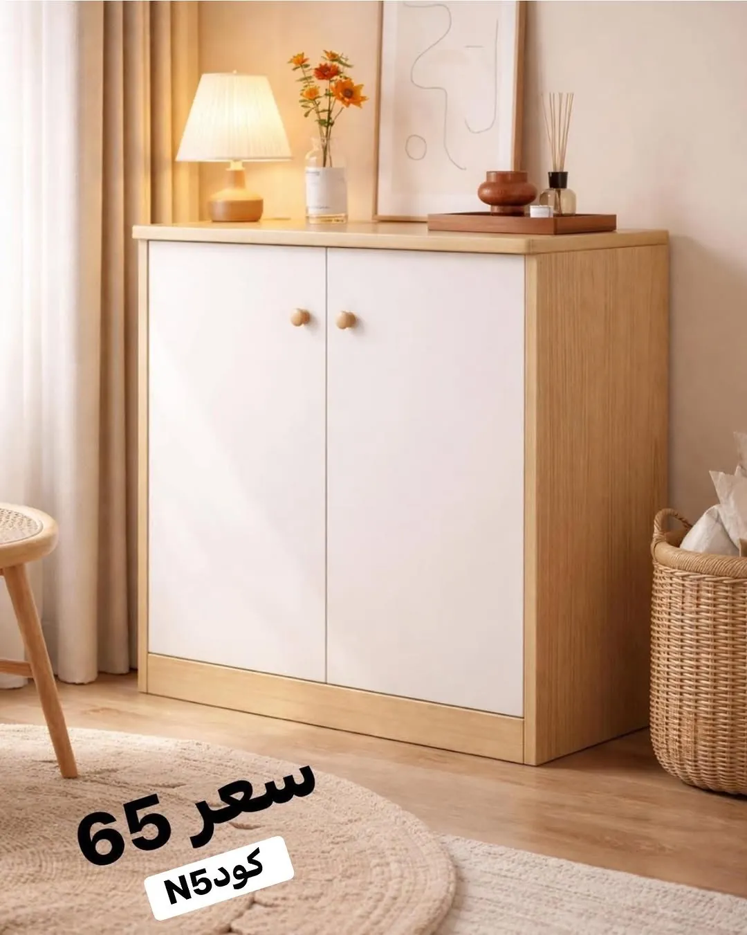 Modern Cabinet
