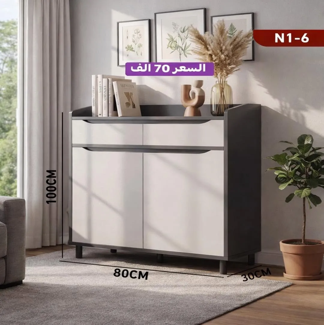 Modern Shoe Cabinet
