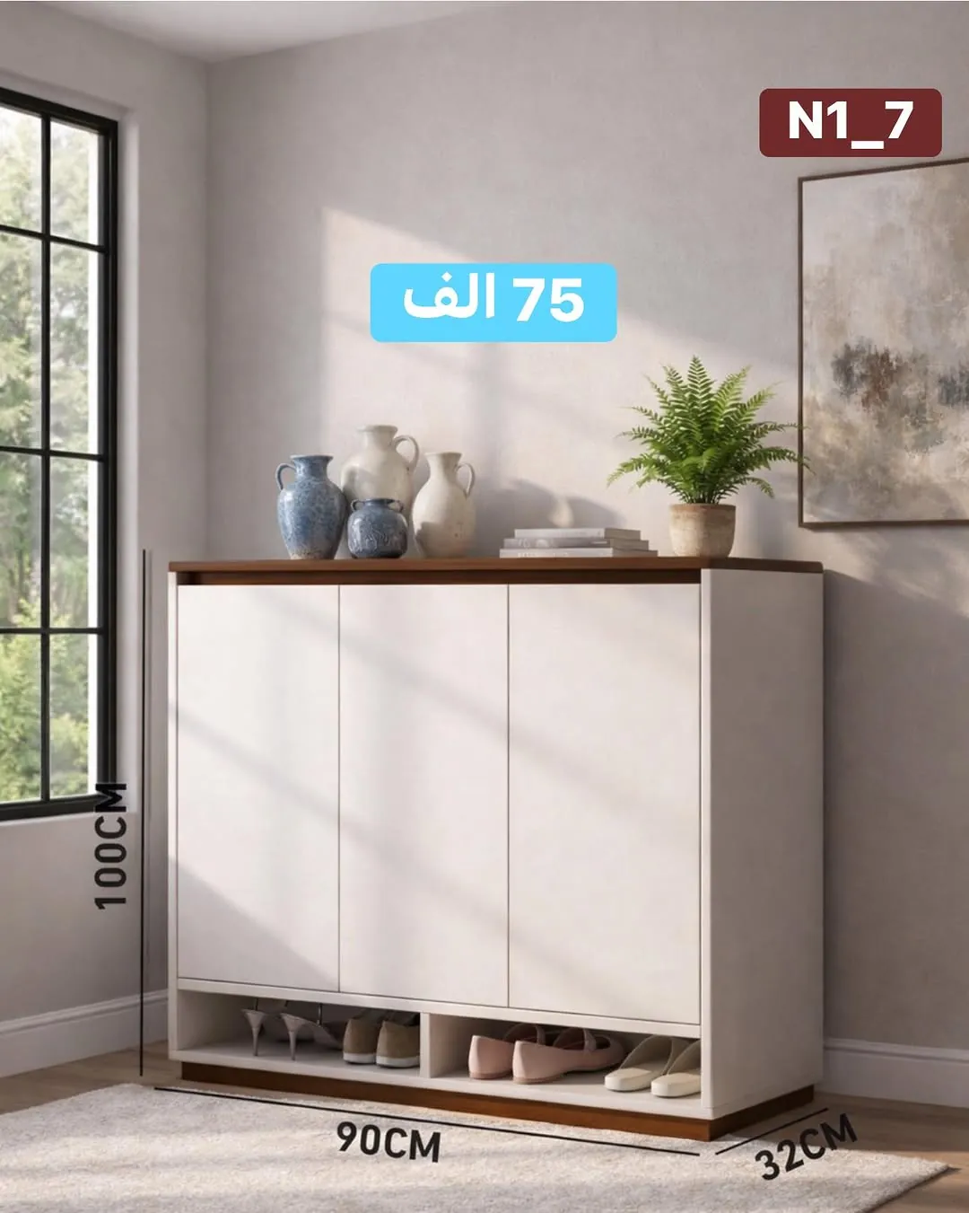 Modern Shoe Cabinet