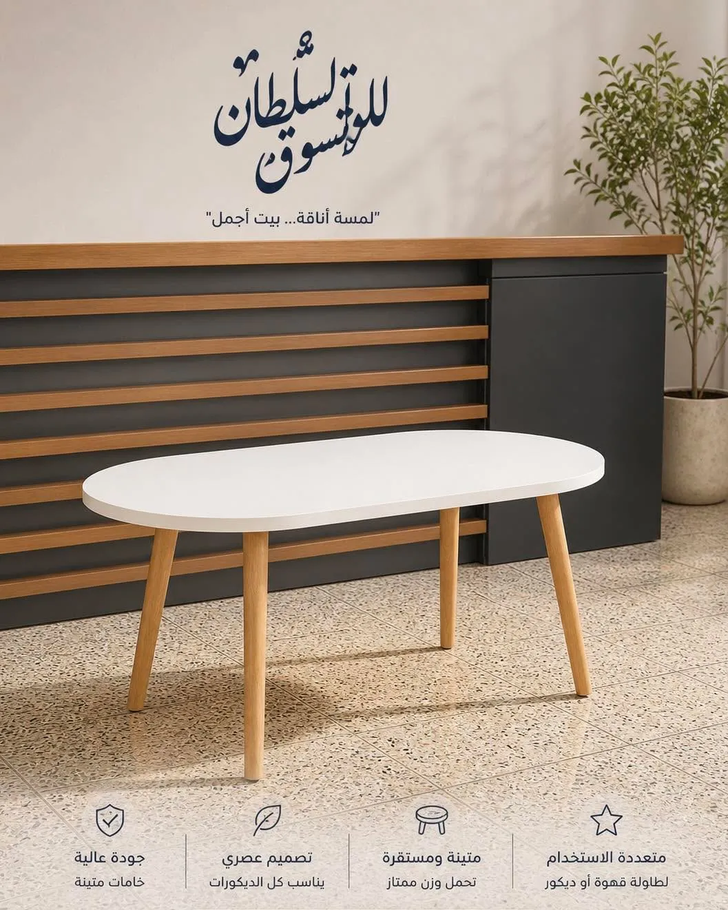 Modern Oval Coffee Table