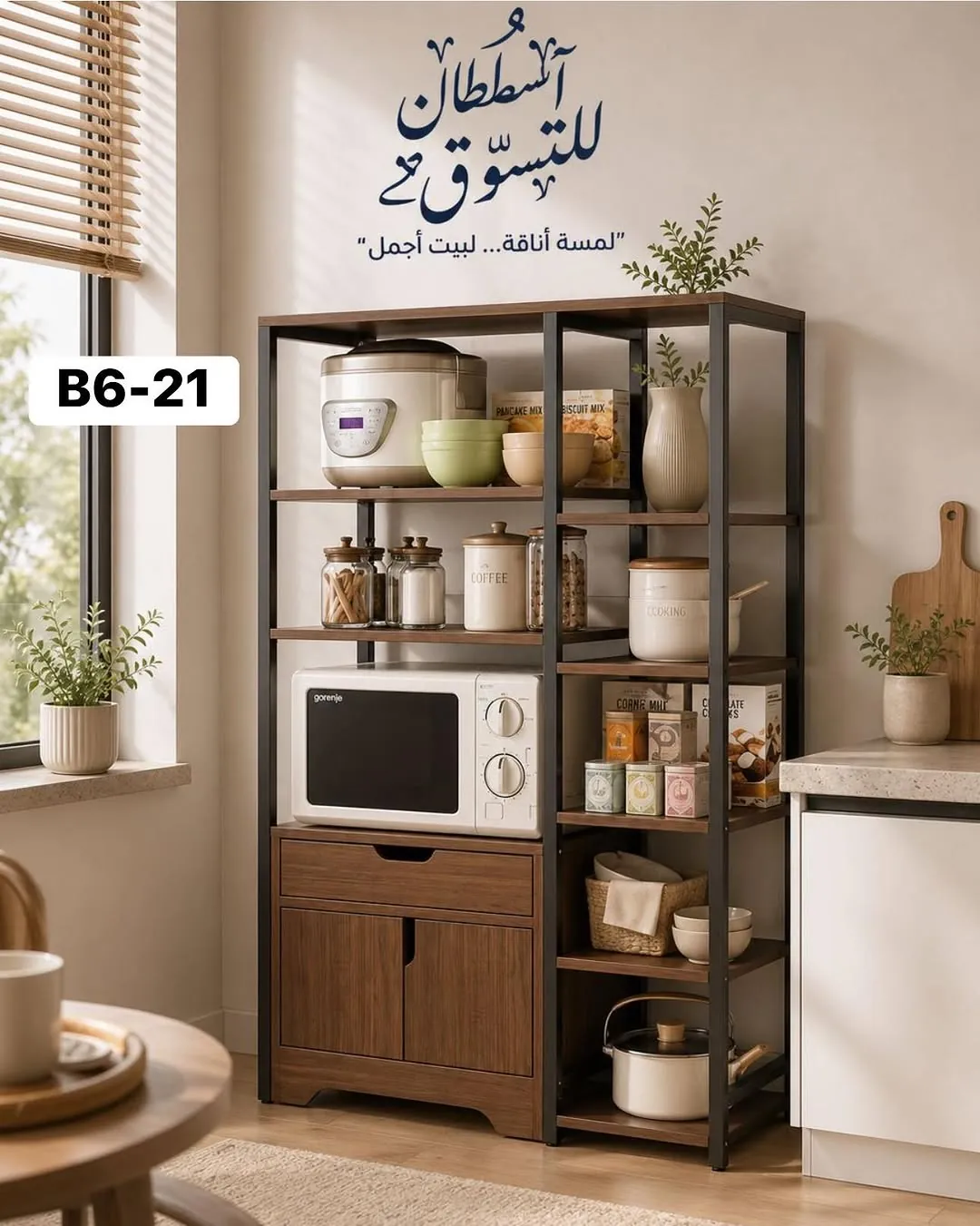 Modern Kitchen Stand Shelf B6-21