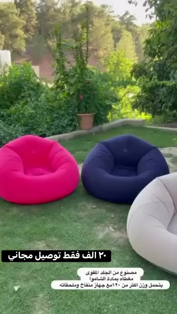 Modern Inflatable Chair