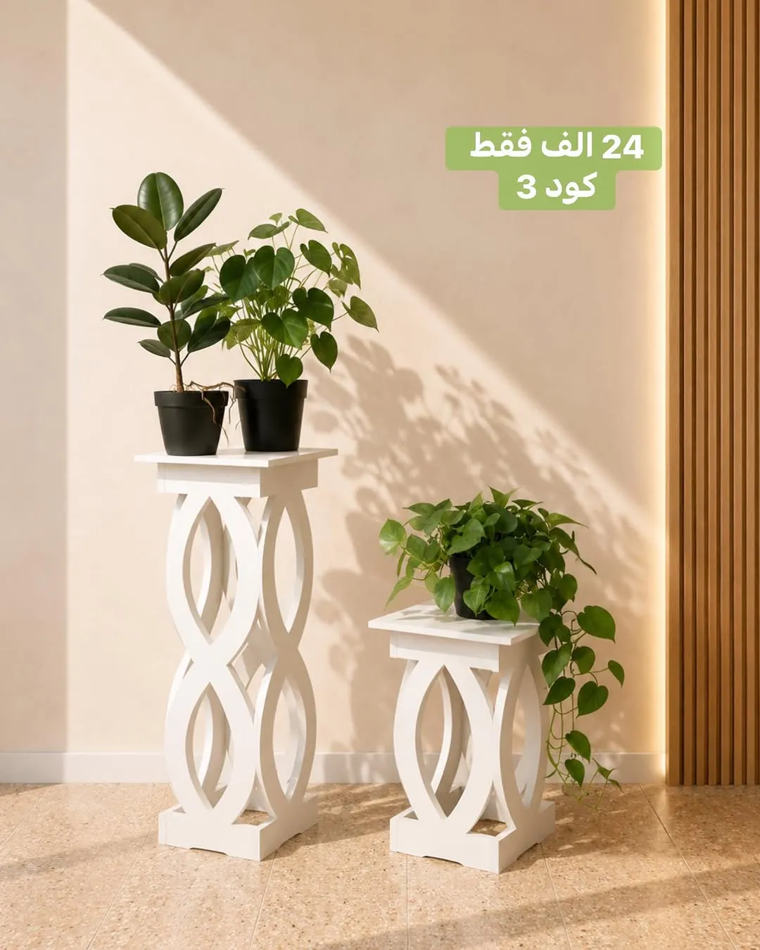 Modern Plant Holders