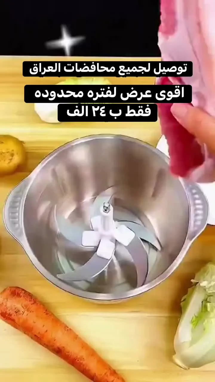 3-Speed Kitchen Chopper with Copper Motor