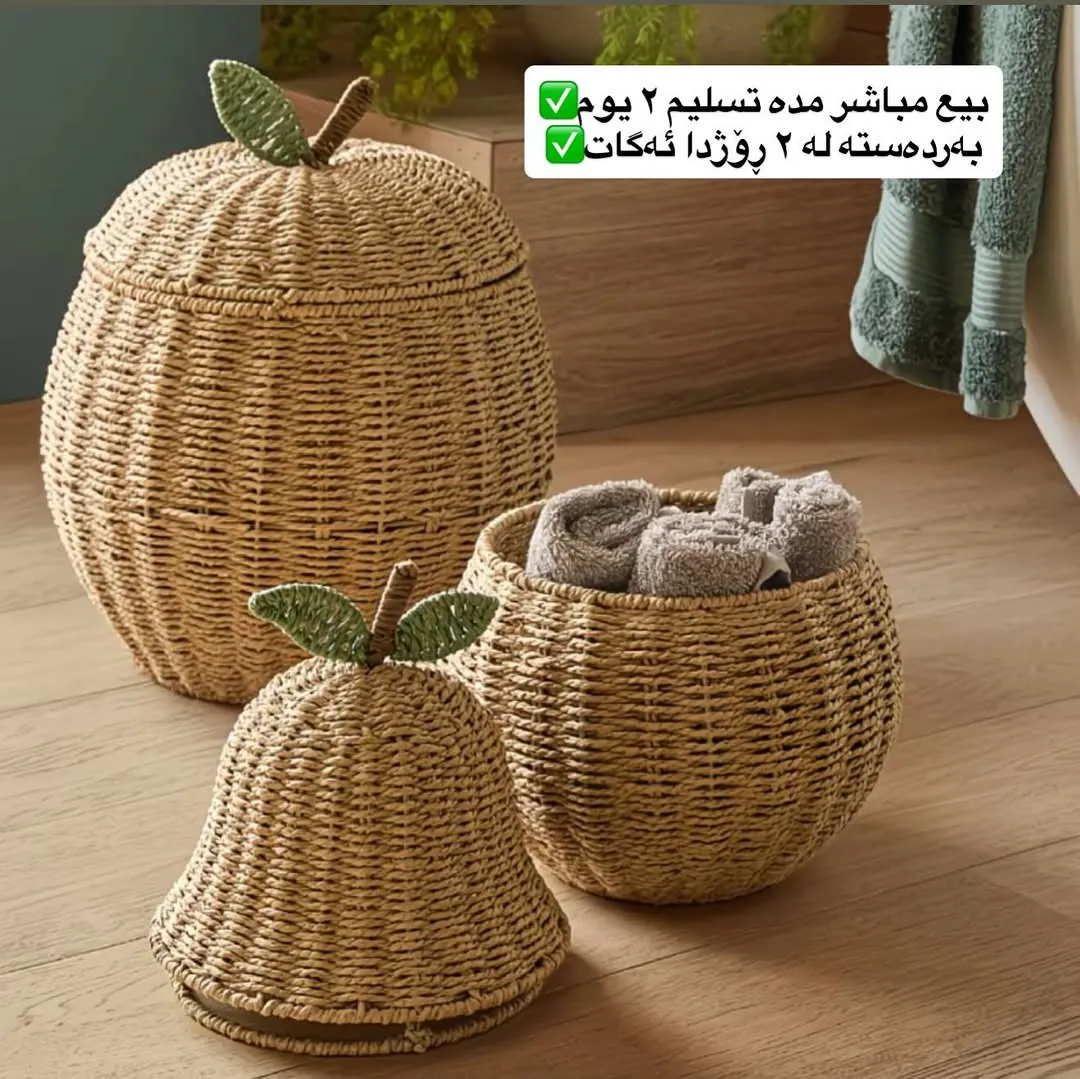 Woven Rattan Storage Baskets Set