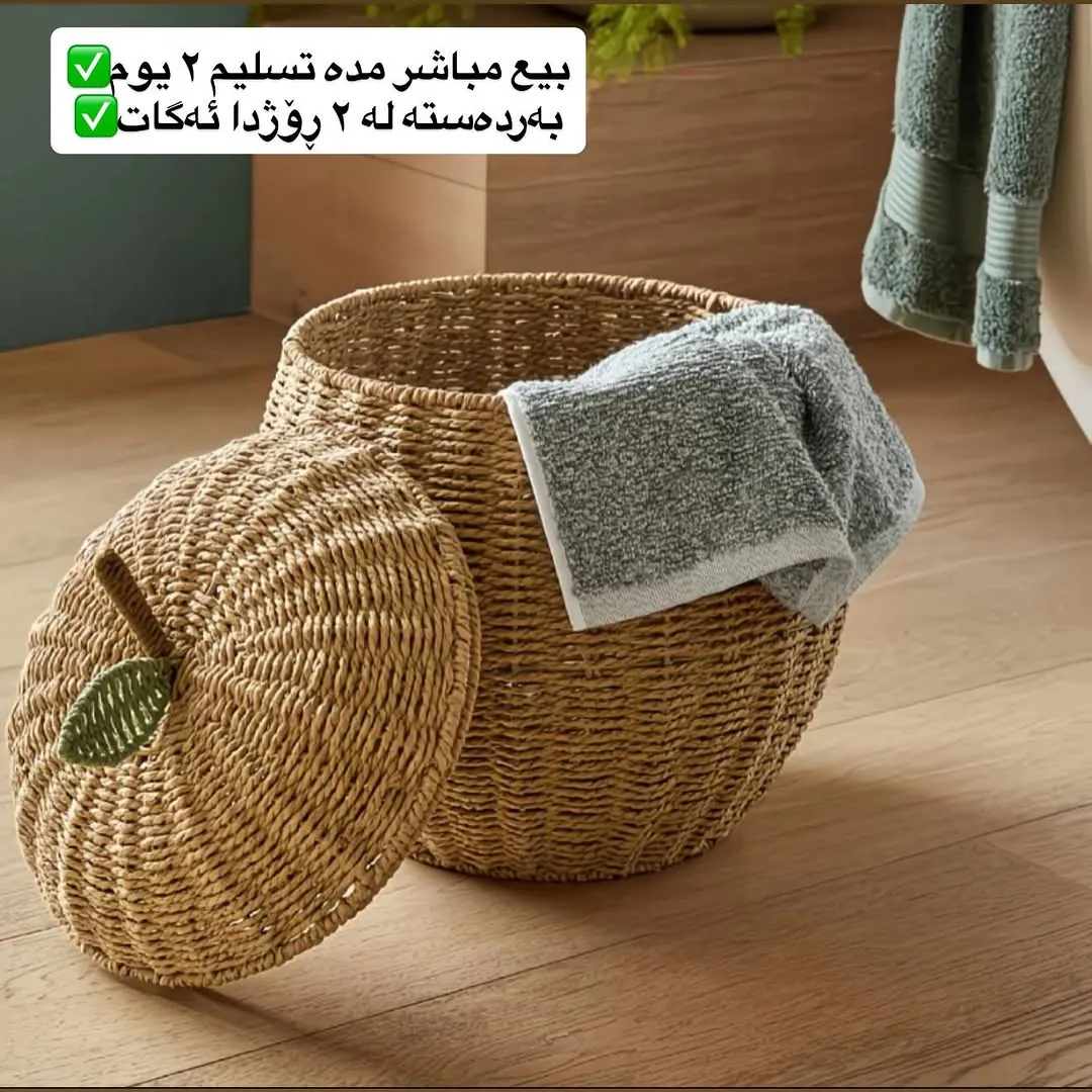 Woven Rattan Storage Baskets Set
