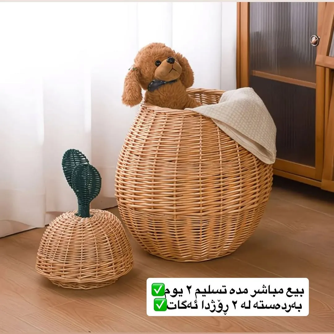 Woven Rattan Storage Baskets Set