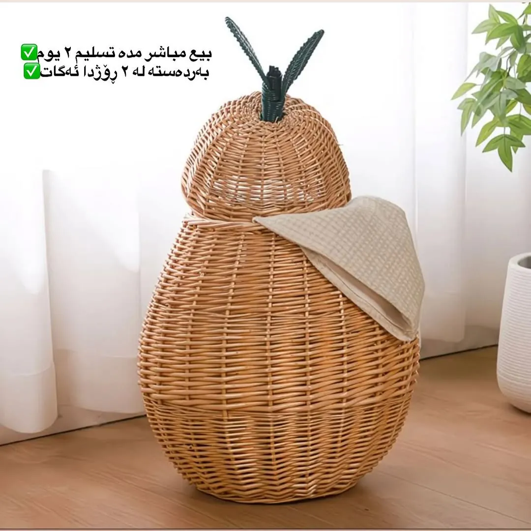 Woven Rattan Storage Baskets Set