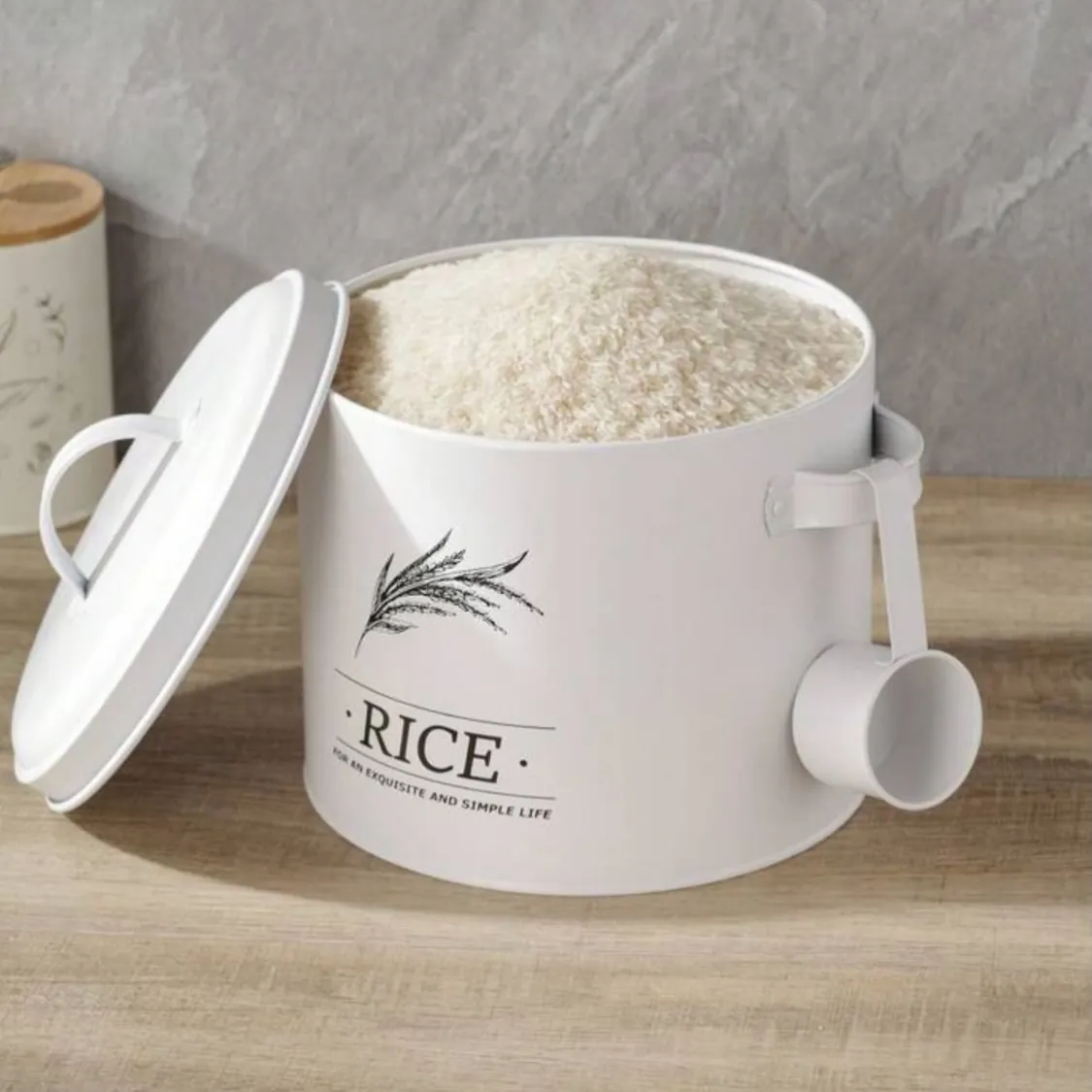 Rice Storage Container