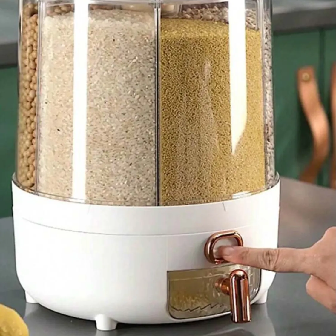 Rice Storage Container
