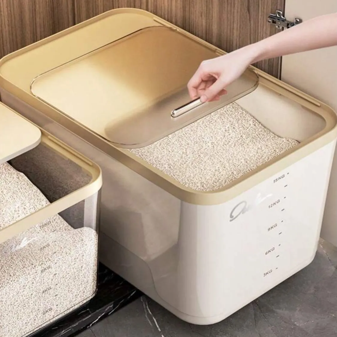 Rice Storage Container