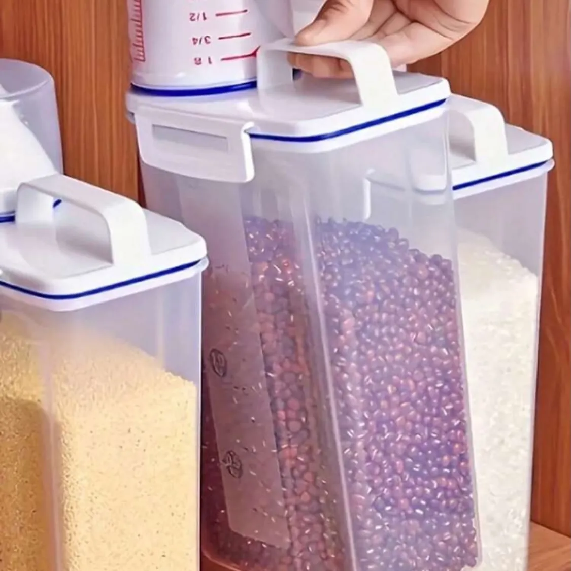 Rice Storage Container