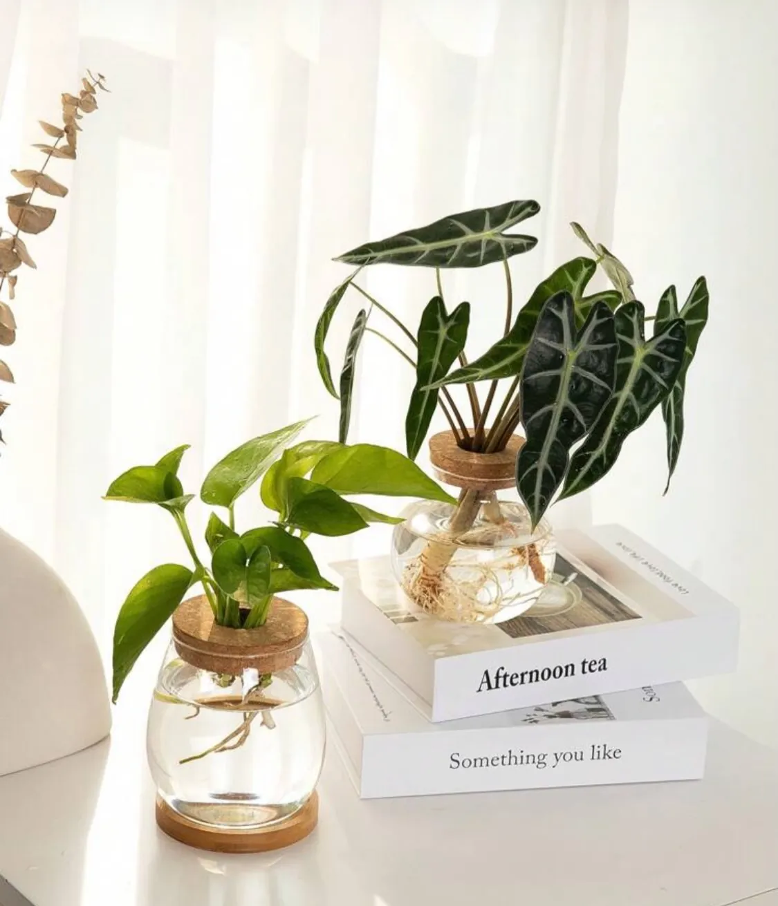 Glass Hydroponic Plant Vase