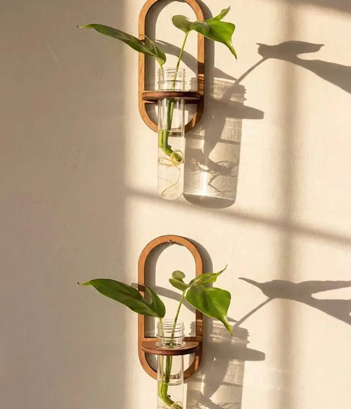 Glass Hydroponic Plant Vase