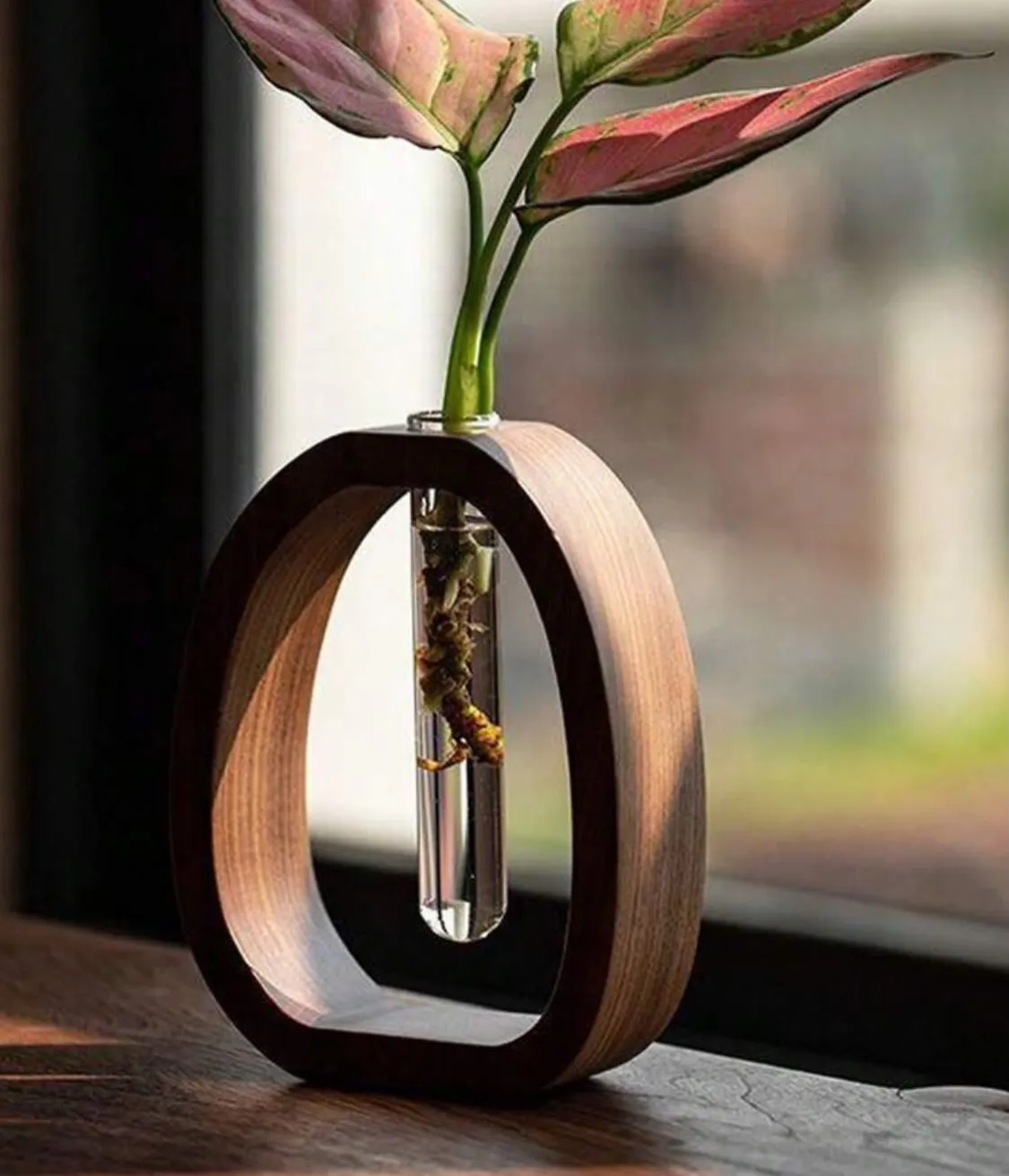 Glass Hydroponic Plant Vase