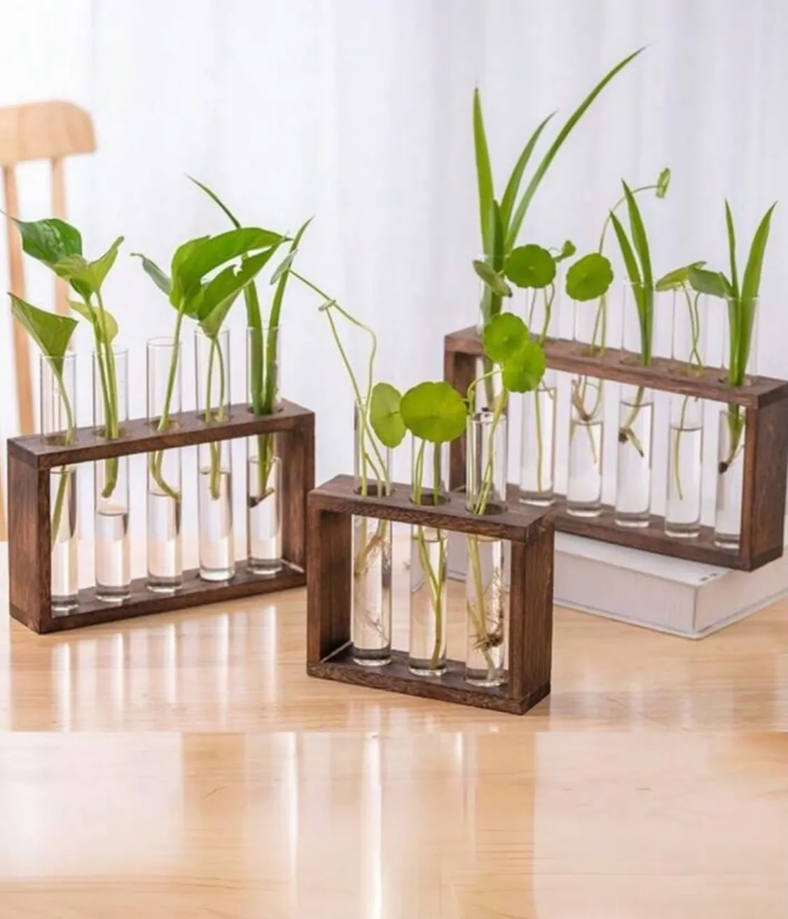 Glass Hydroponic Plant Vase