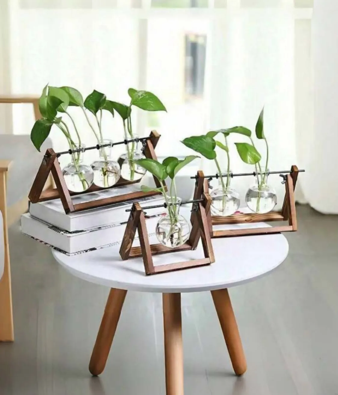 Glass Hydroponic Plant Vase