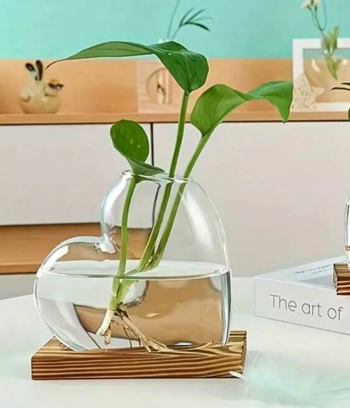 Glass Hydroponic Plant Vase