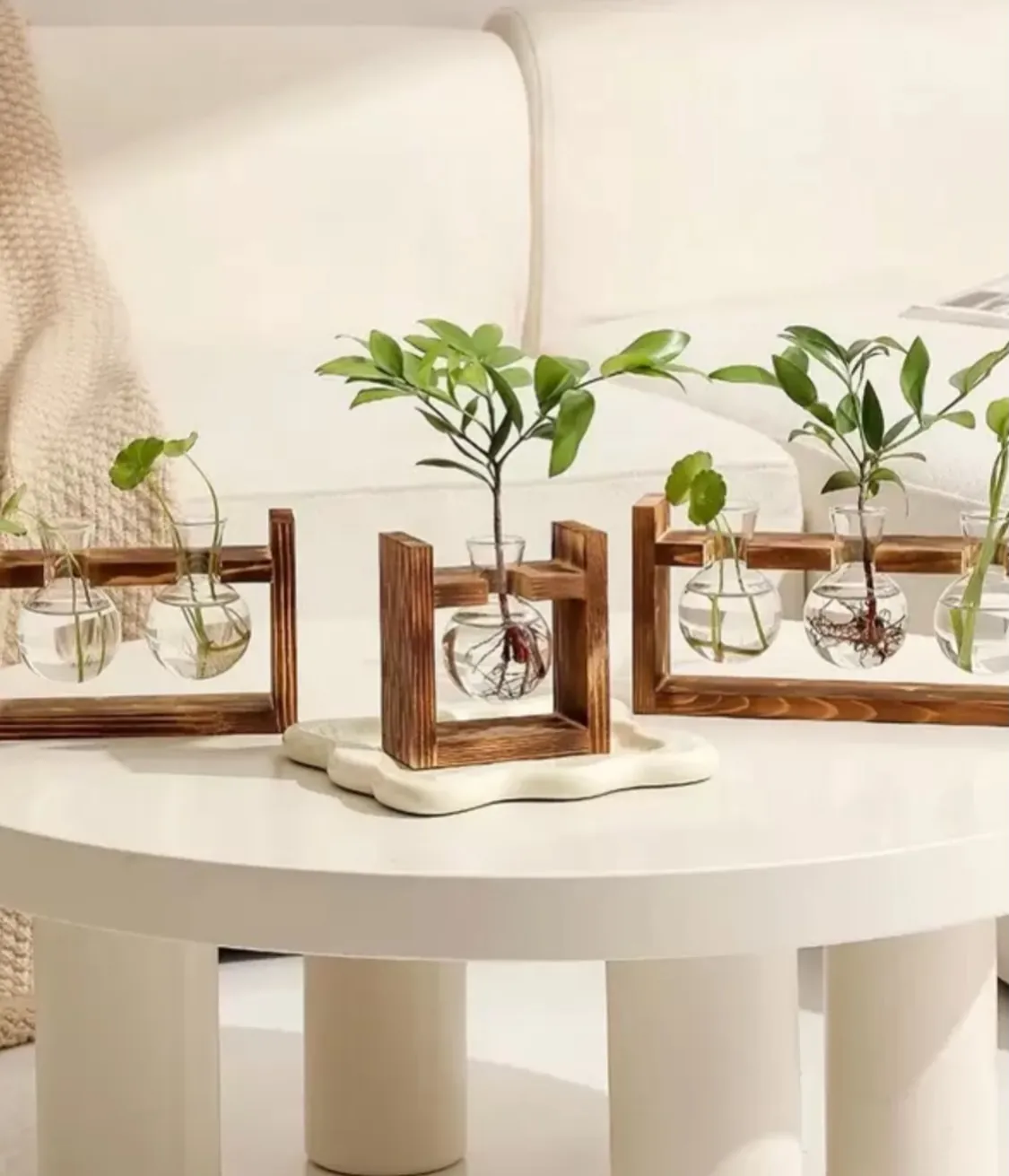 Glass Hydroponic Plant Vase