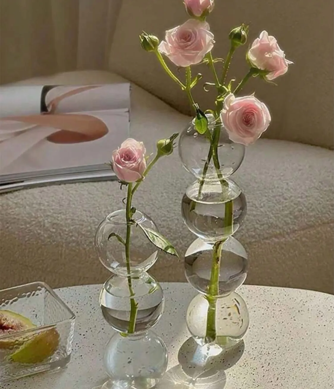 Glass Hydroponic Plant Vase