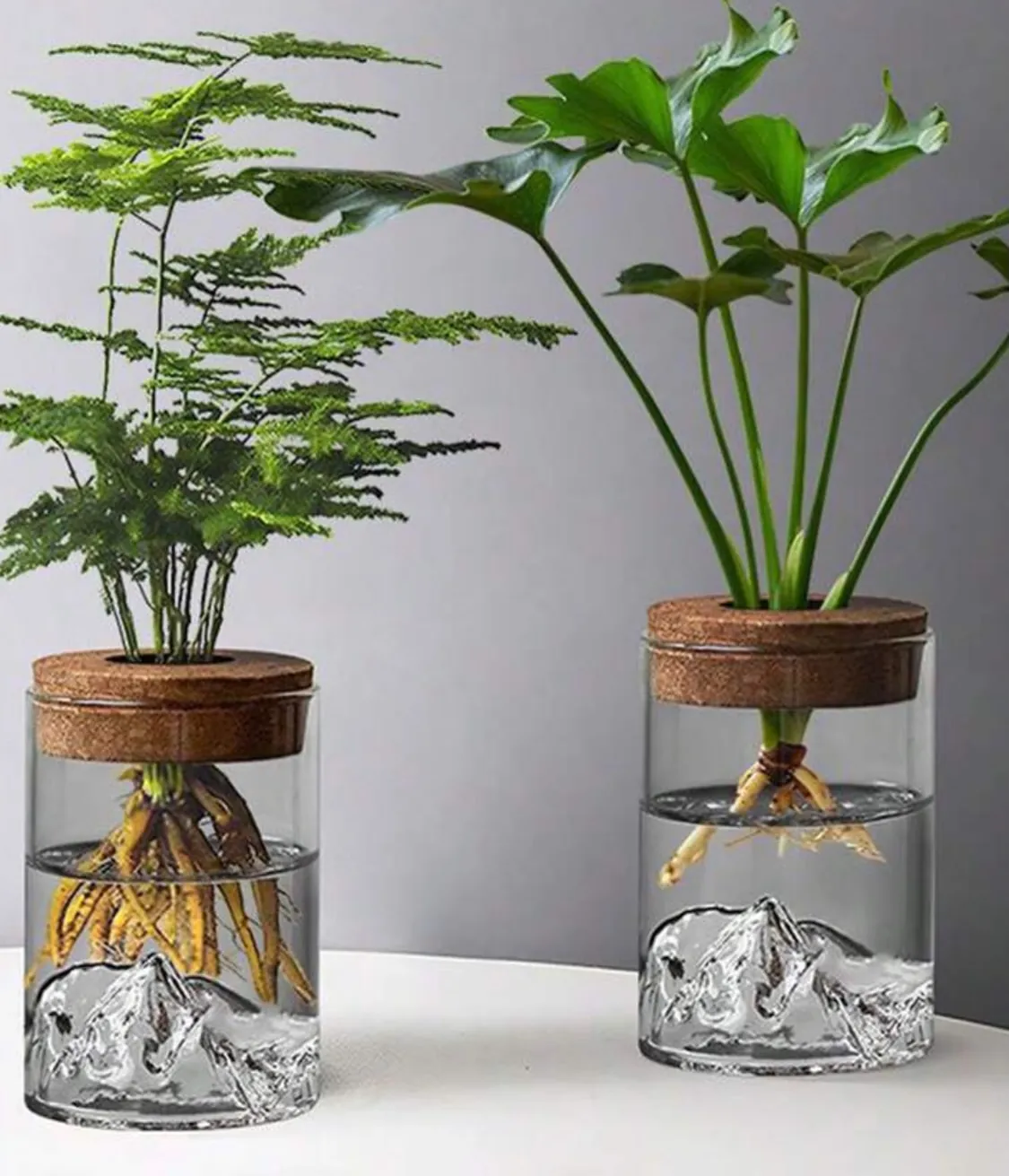 Glass Hydroponic Plant Vase