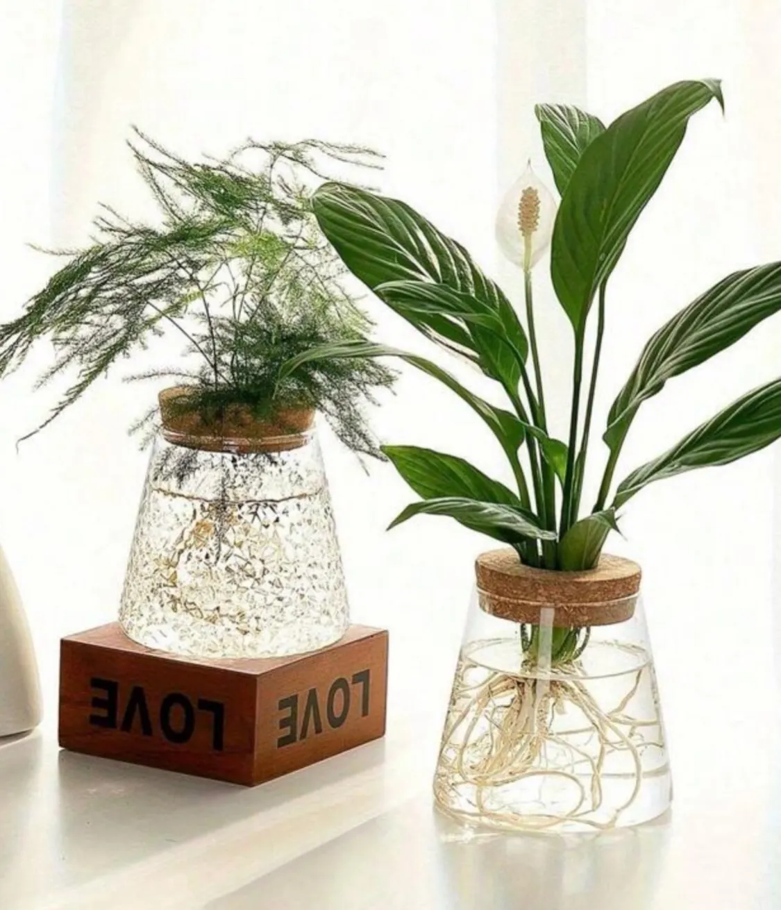 Glass Hydroponic Plant Vase
