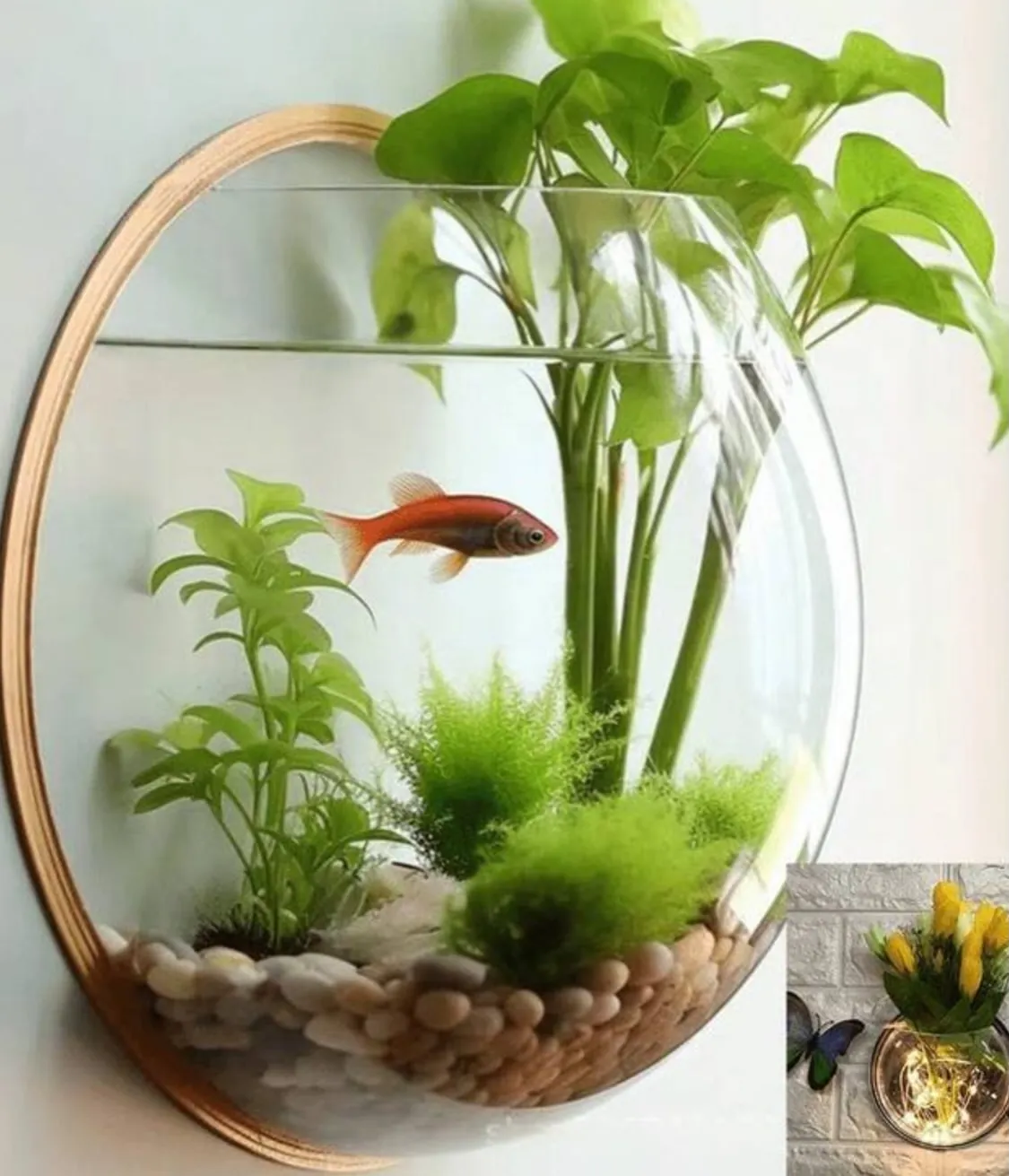 Glass Hydroponic Plant Vase