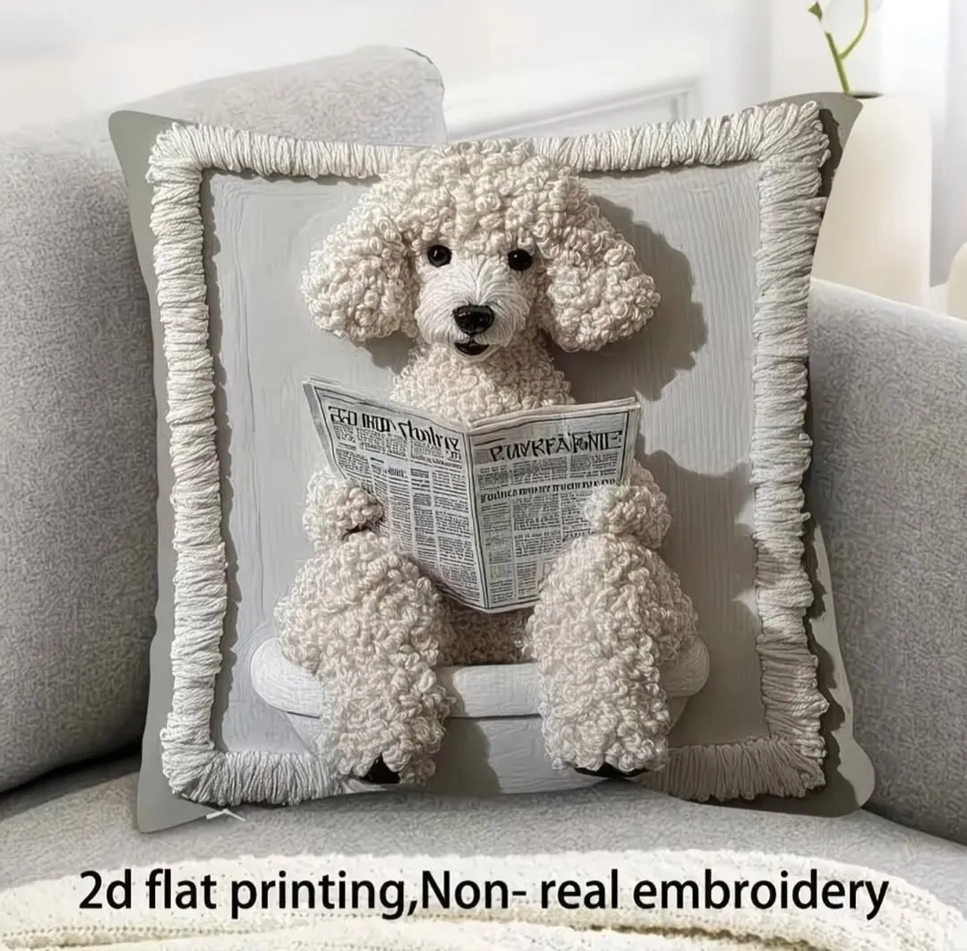 Decorative Home Pillows