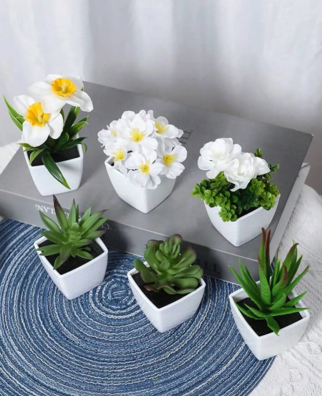 Decorative Flower Pots