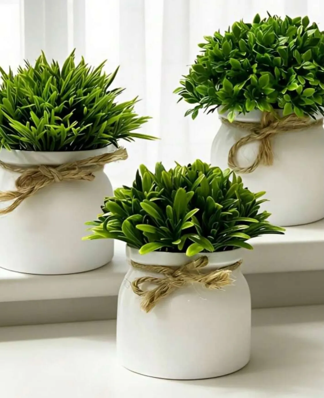Decorative Flower Pots
