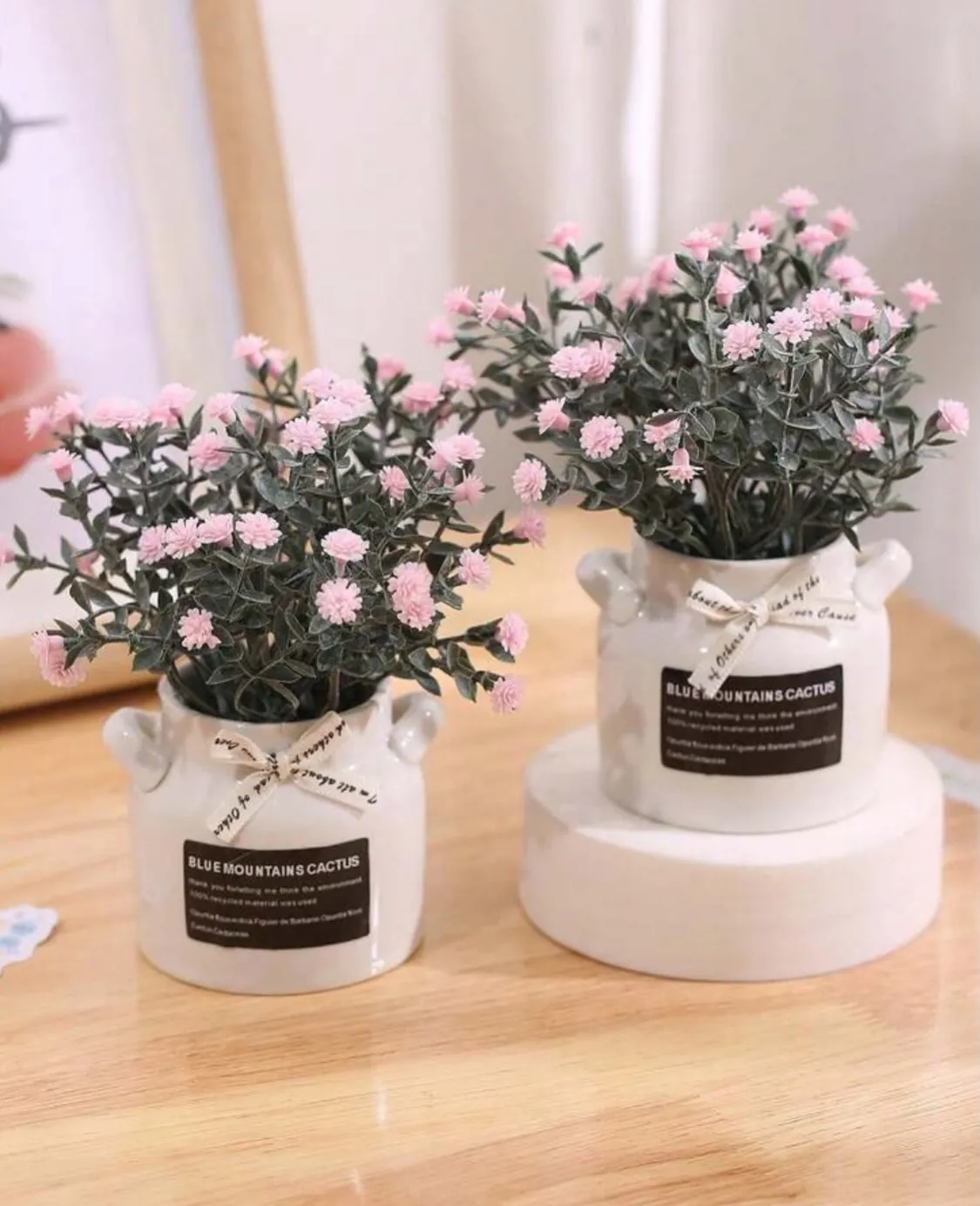 Decorative Flower Pots
