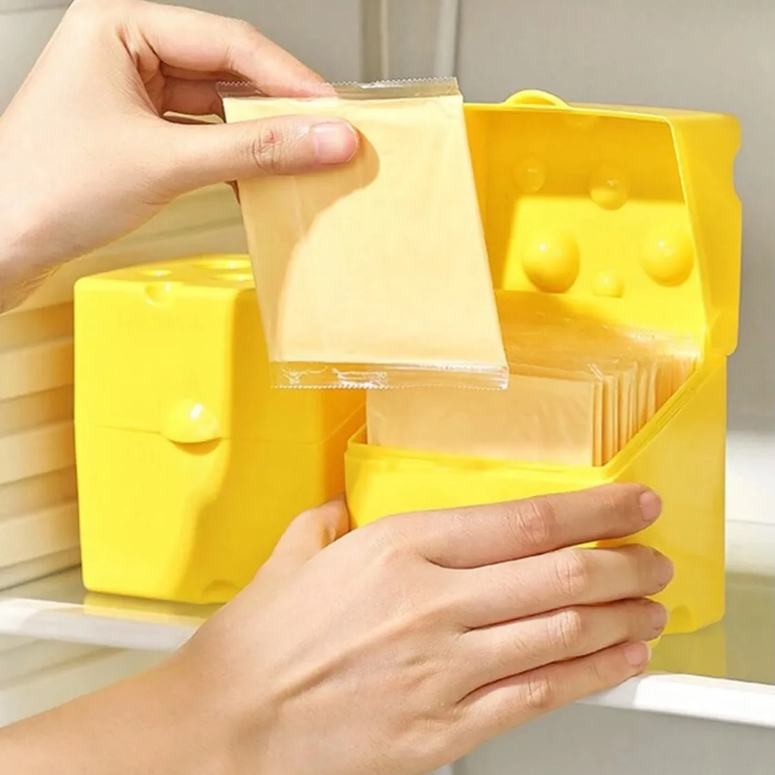 Bag Storage Dispenser Box