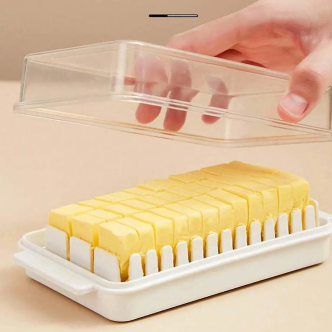 Bag Storage Dispenser Box