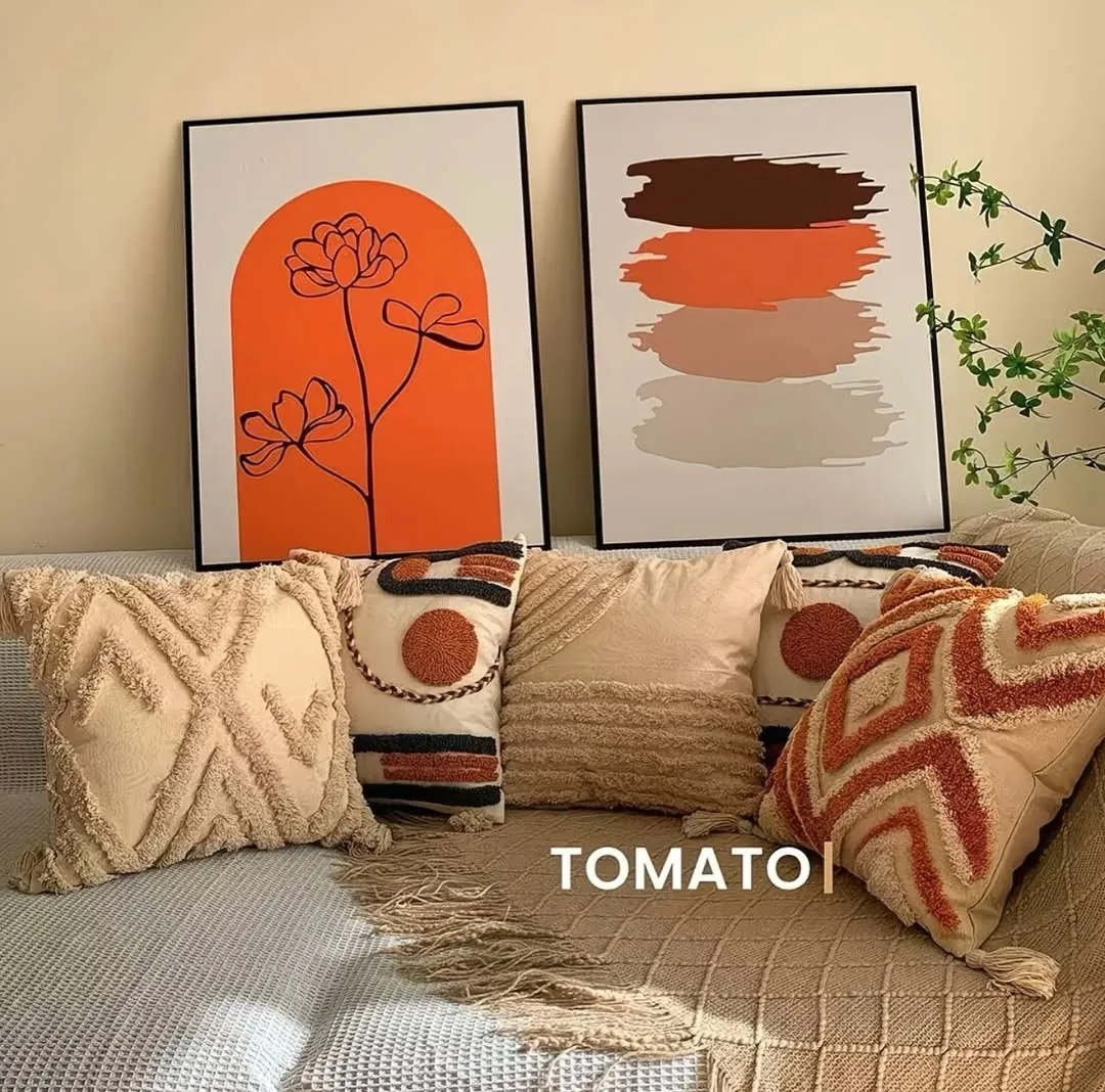 Decorative Throw Pillows