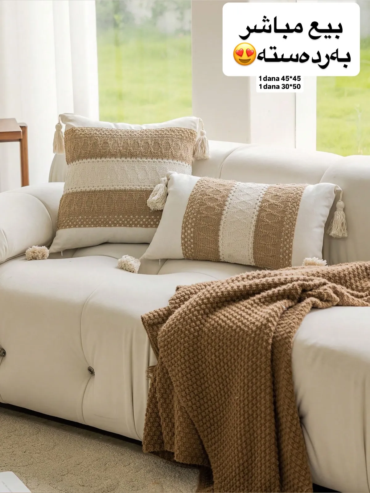 Decorative Throw Pillows