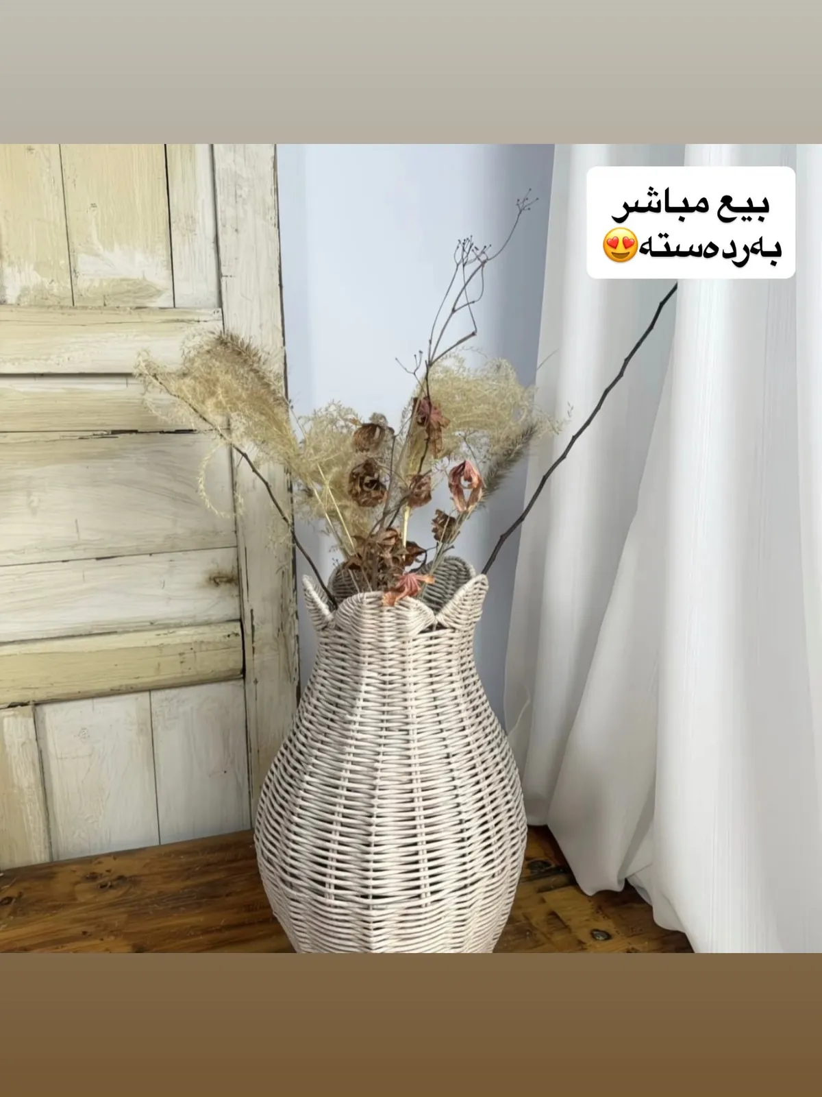 Decorative Throw Pillows
