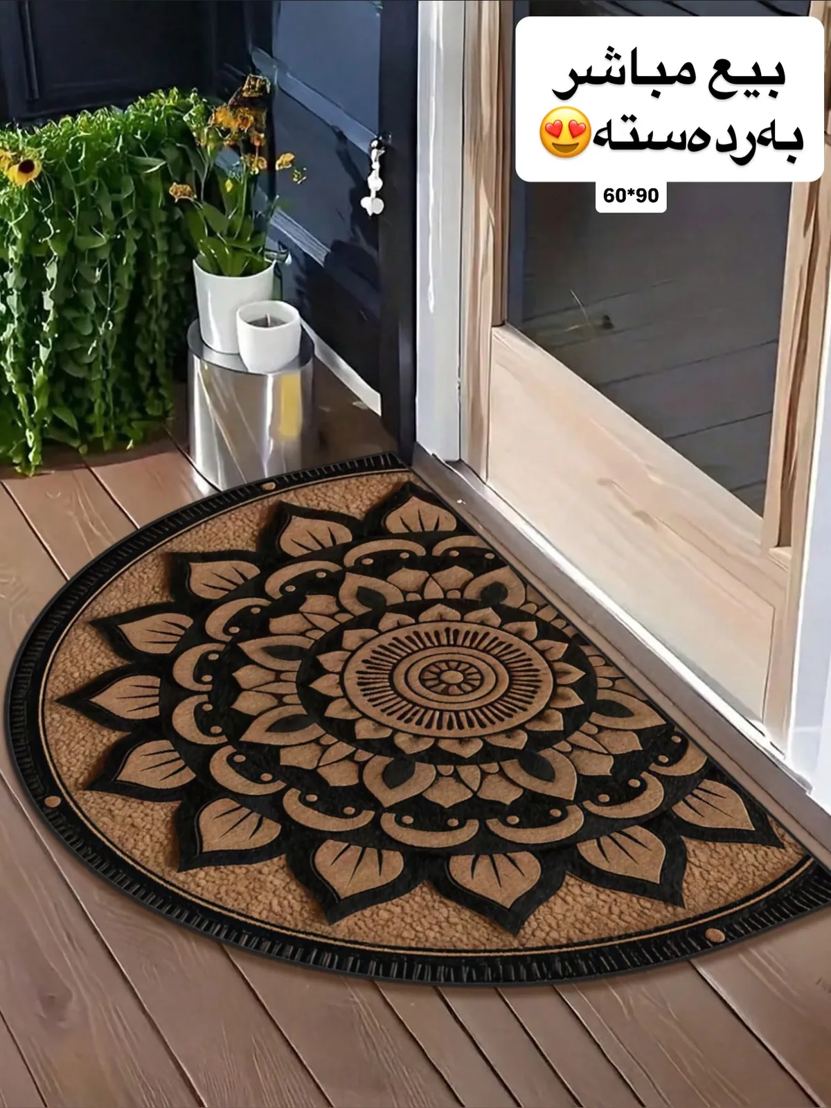 Decorative Throw Pillows