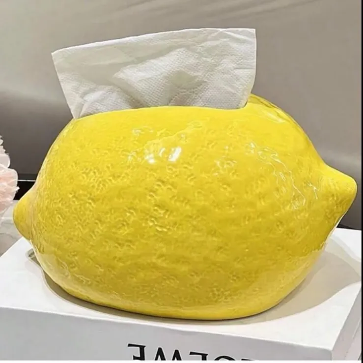 Book-style Tissue Box and Decorative Figurine
