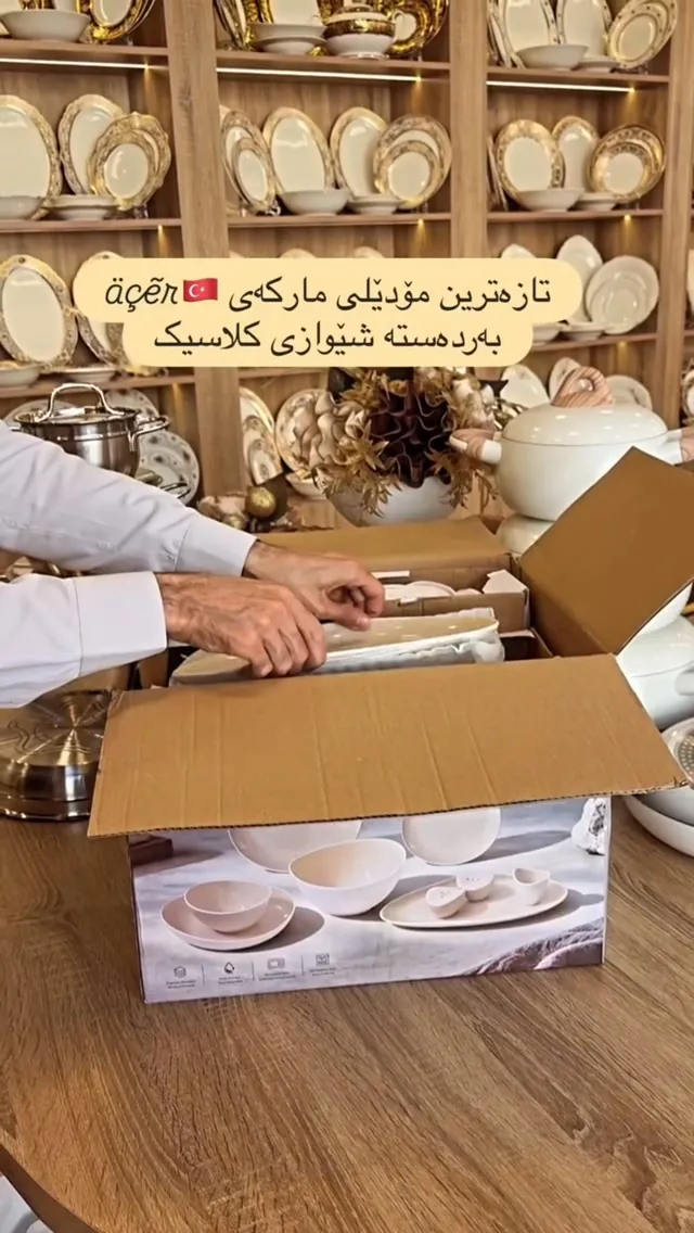 Classic Style Dinnerware Set