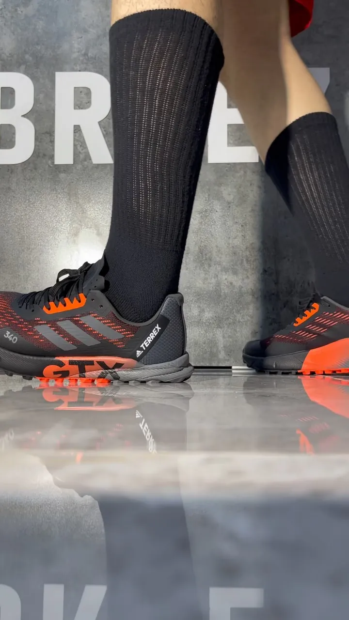 Adidas Terrex GTX Shoes