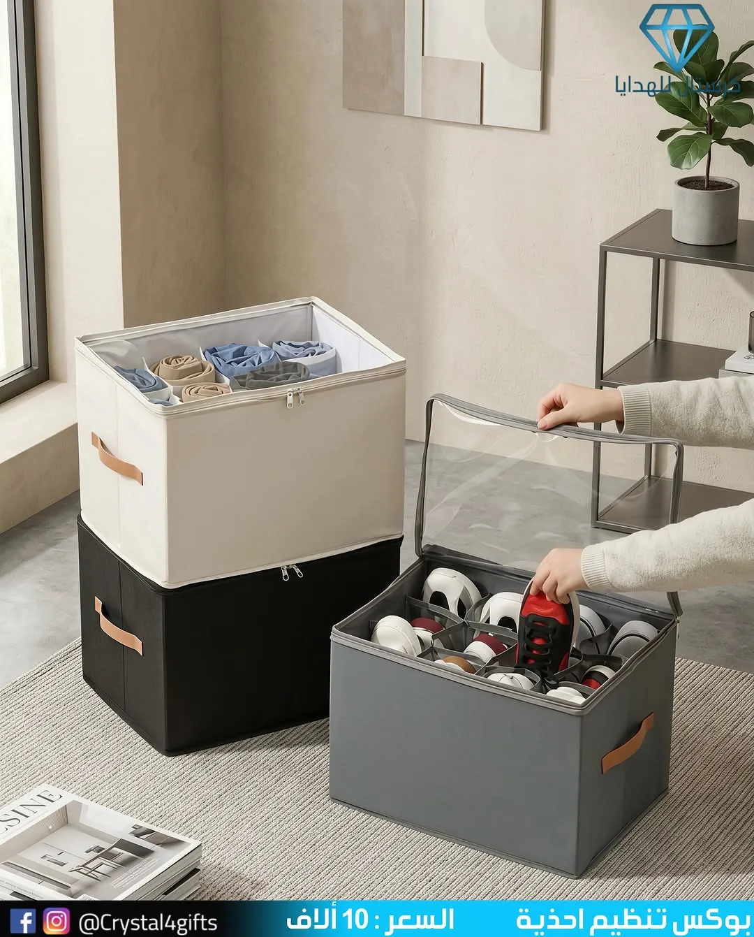 Shoe Organizer Box