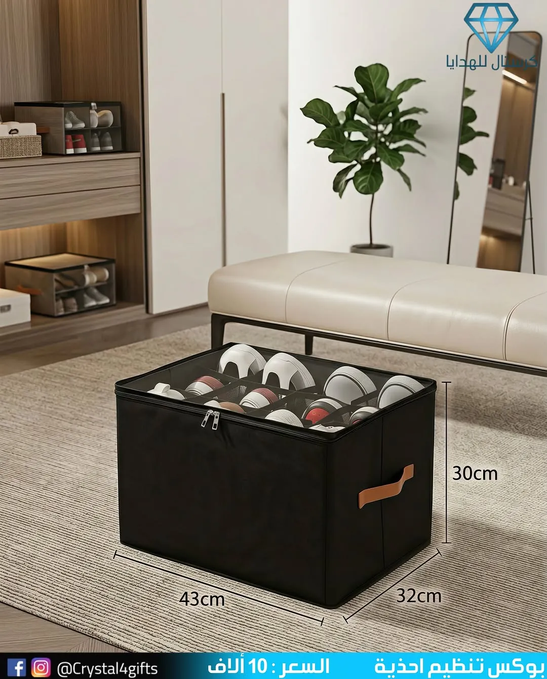 Shoe Organizer Box
